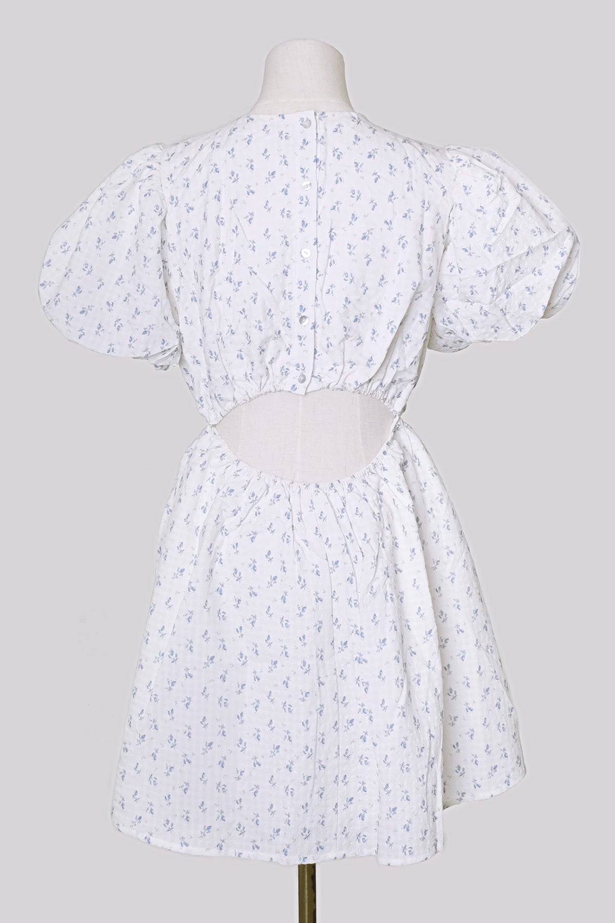 Floral Mini Dress (Blue Floral/ Cream)