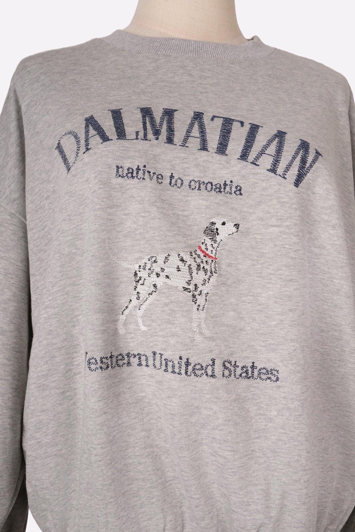Dalmatian Sweatshirt (Gray) Print