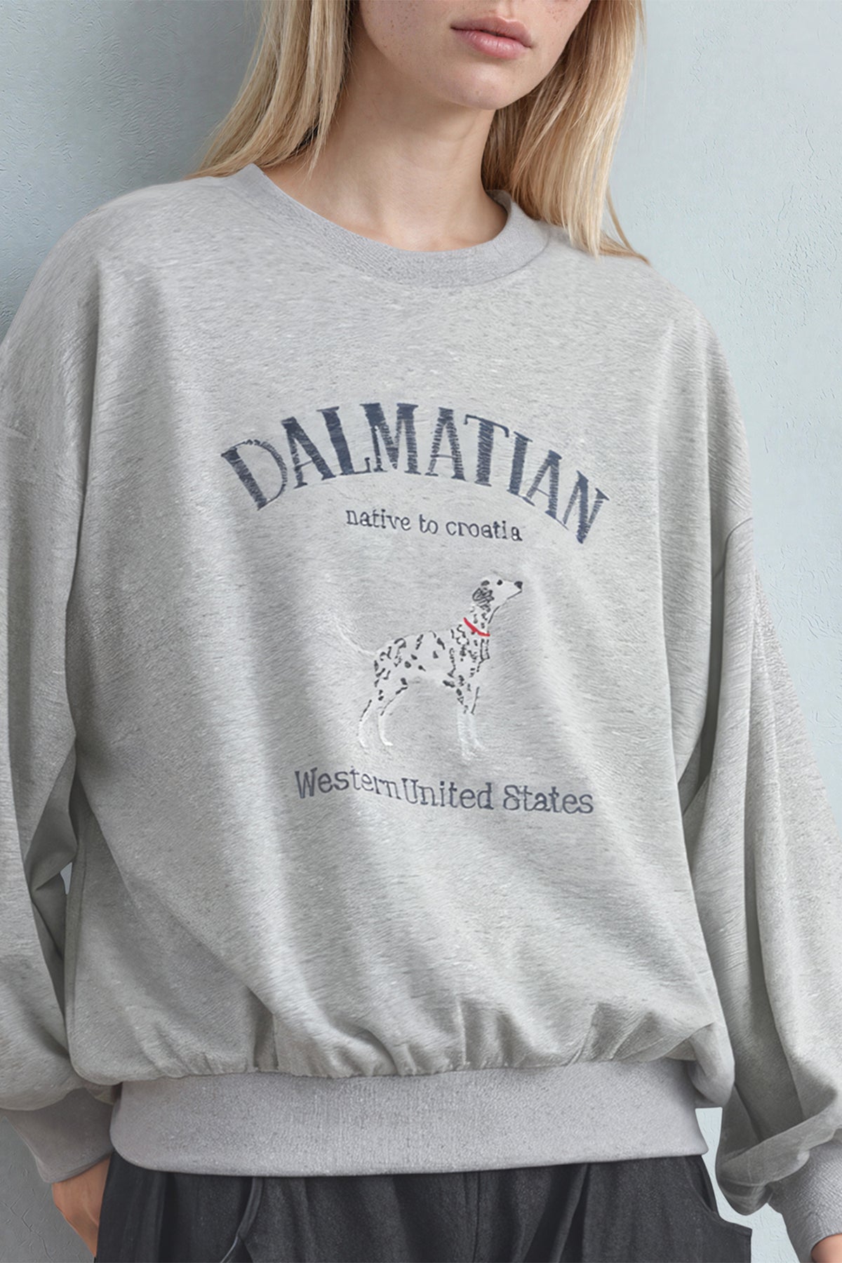 Dalmatian Sweatshirt (Gray)