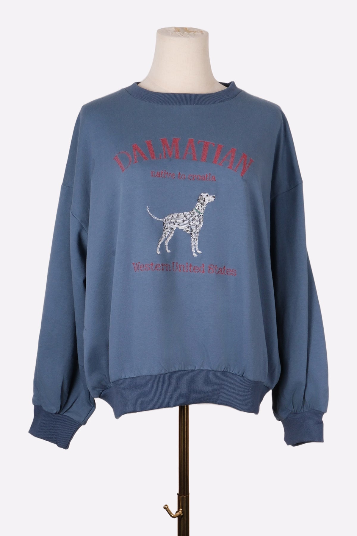 Dalmatian Sweatshirt (Navy) Print